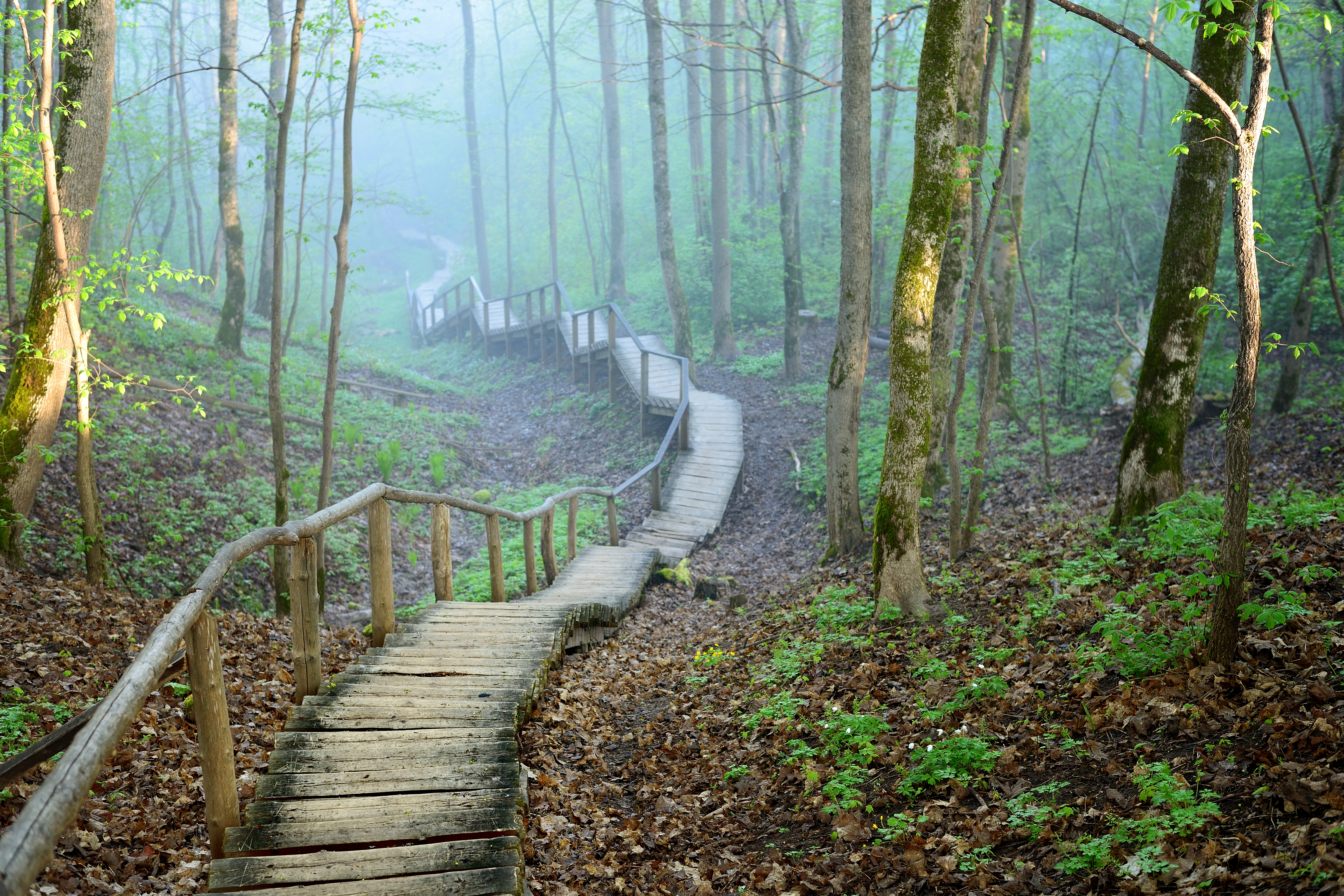 The Benefits of Nonprofit Accreditation: What You Need to Know